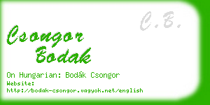 csongor bodak business card